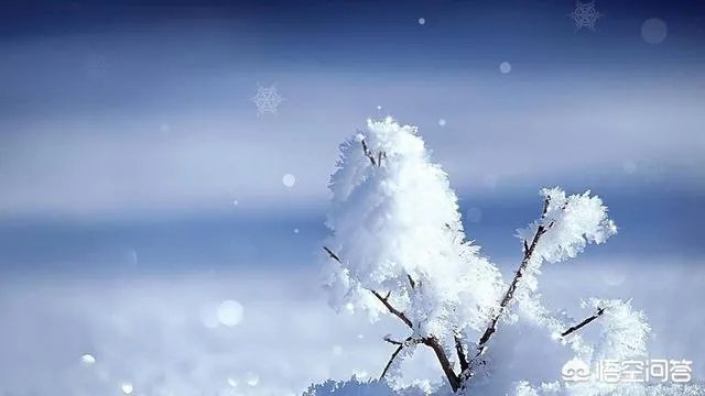 打油诗的格式和特点