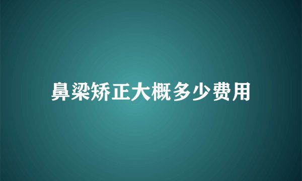 鼻梁矫正大概多少费用