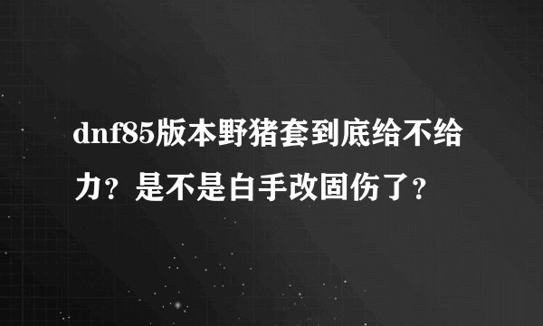 dnf85版本野猪套到底给不给力？是不是白手改固伤了？