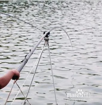 重庆主城钓鱼哪里钓更给力？