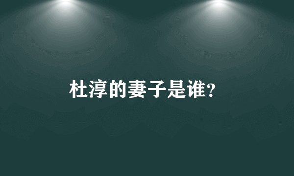 杜淳的妻子是谁？