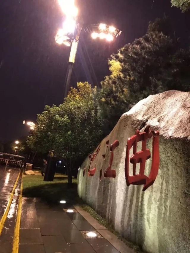 美国的新冠肺炎确诊病例为什么一直遥遥领先？