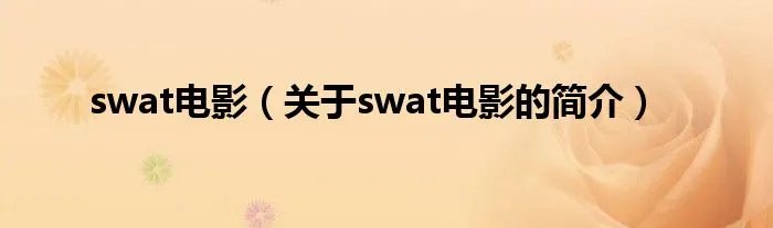 swat电影（关于swat电影的简介）