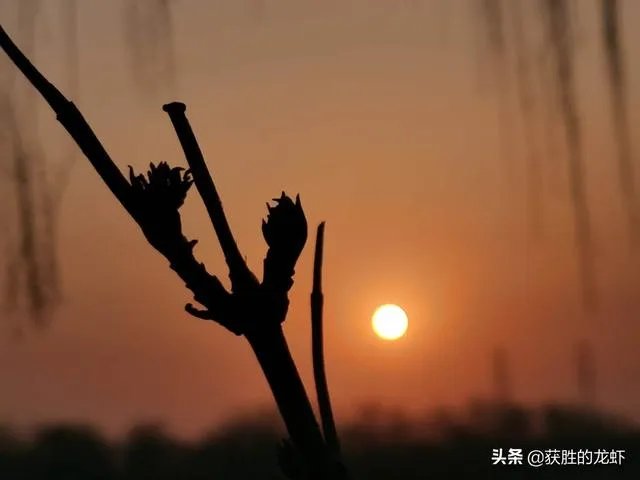 因为这次新冠疫情,中国4月4日举行哀悼活动有什么积极的意义?