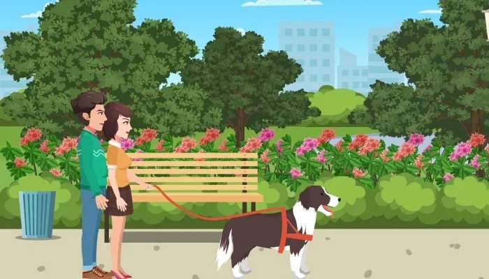 边境牧羊犬的性格如何