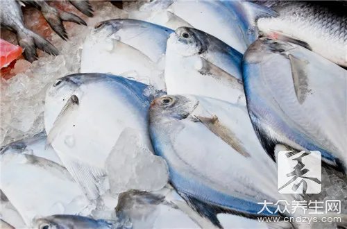 清汤鱼火锅的做法大全     