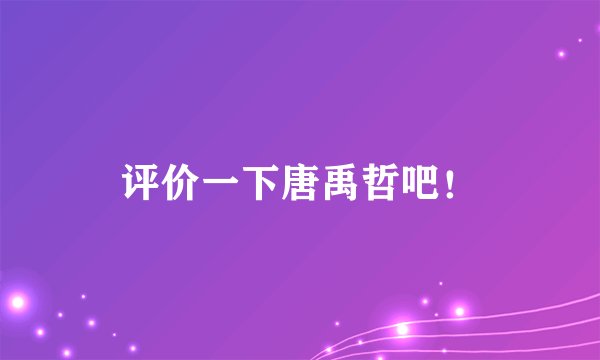 评价一下唐禹哲吧！