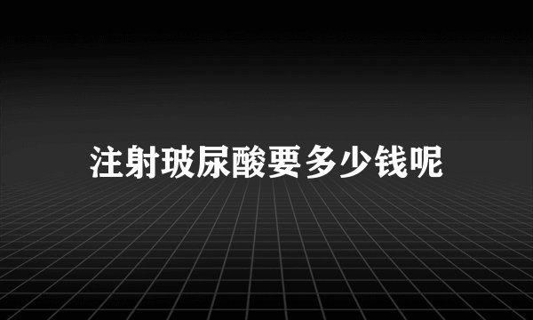 注射玻尿酸要多少钱呢