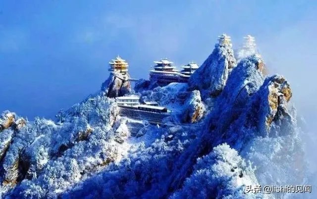 你觉得现在的综艺节目最大的看点在哪里?