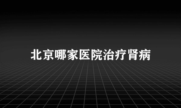 北京哪家医院治疗肾病