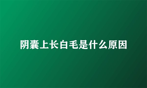阴囊上长白毛是什么原因