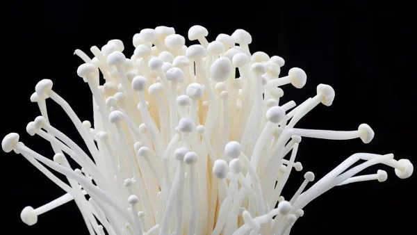 不吃药快速减肥方法有哪些?原来瘦就是如此简单