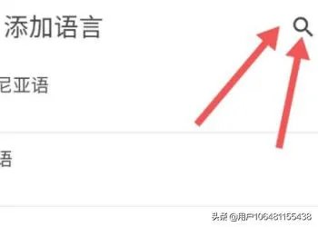 安卓手机谷歌商店英文版调中文