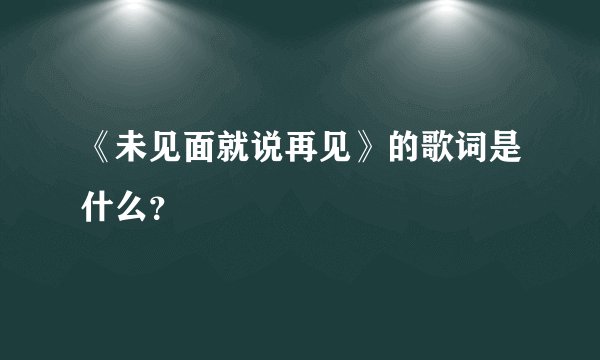 《未见面就说再见》的歌词是什么？