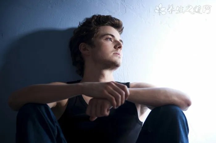 俊介君是什么品种狗