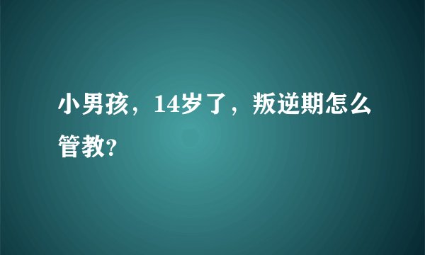 小男孩，14岁了，叛逆期怎么管教？