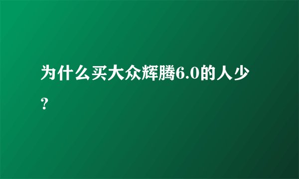为什么买大众辉腾6.0的人少？