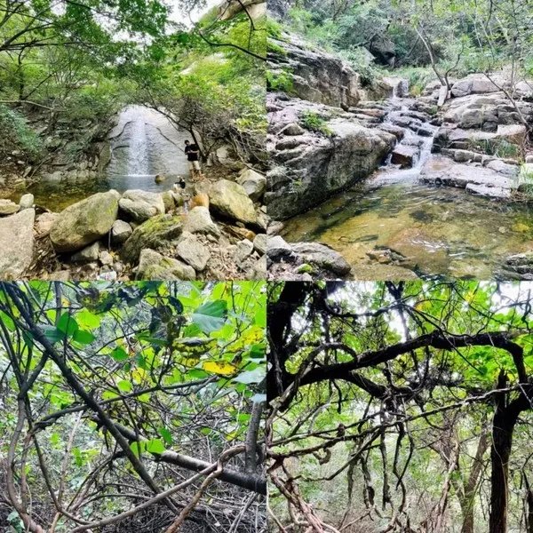 五一去哪玩？北京这7个地方景美、人少、好出片！