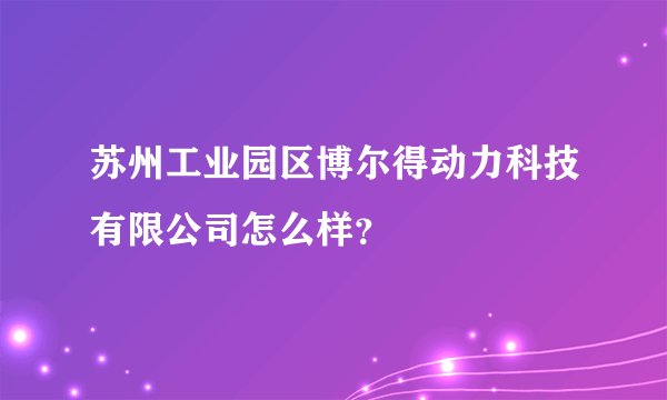 苏州工业园区博尔得动力科技有限公司怎么样？