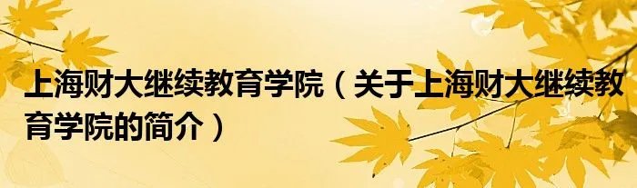 上海财大继续教育学院（关于上海财大继续教育学院的简介）