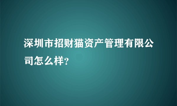 深圳市招财猫资产管理有限公司怎么样？