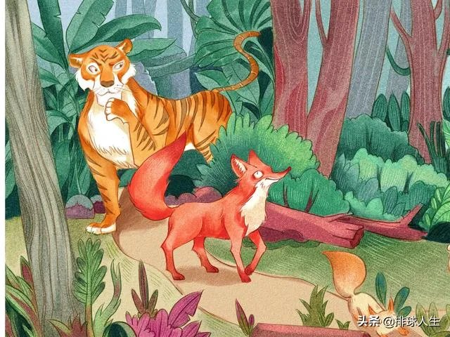 李盈莹打遍天下无敌手,冠军底蕴深厚,为什么还到处招兵买马呢?