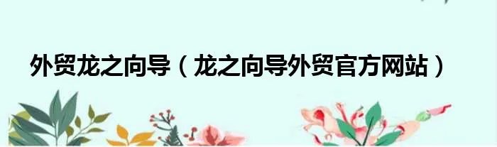 外贸龙之向导（龙之向导外贸官方网站）