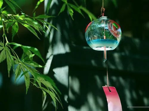 渡情青染洛逸寒 渡情小说免费阅读