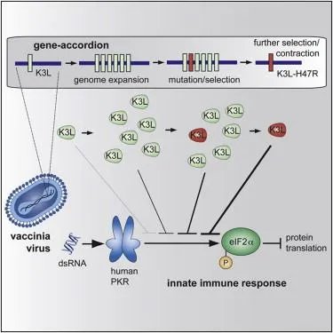 储存宿主的介绍