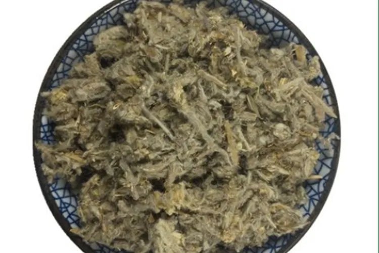 鼠曲草的功效与作用图片