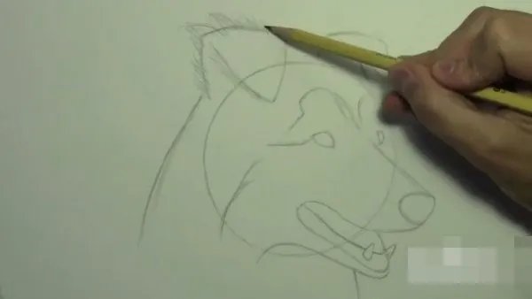 素描画入门教程步骤图