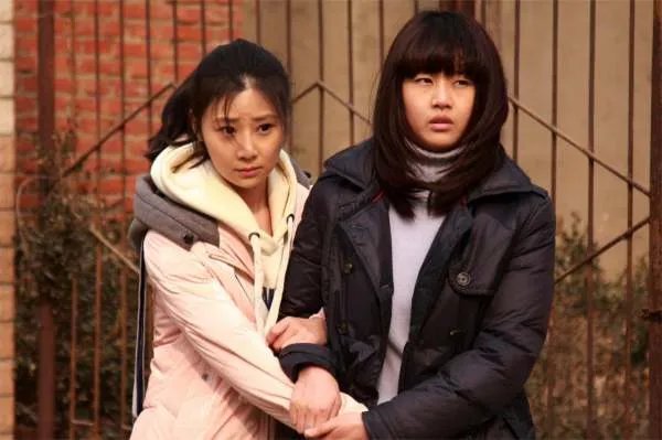 于杨芳鑫的介绍