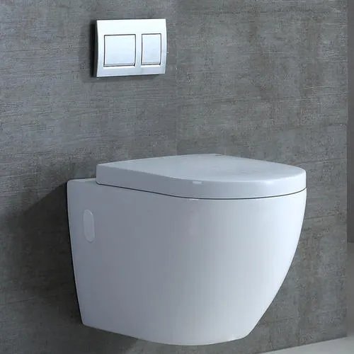 挂墙式马桶弊端是什么