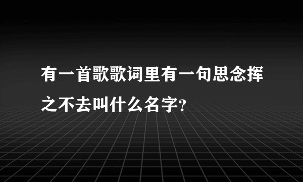 有一首歌歌词里有一句思念挥之不去叫什么名字？