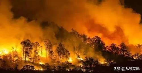 汤姆汉克斯在澳大利亚确诊新冠肺炎，最近澳洲一些华人回国避难，澳洲的疫情怎么样了？影响如何？