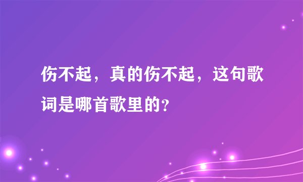 伤不起，真的伤不起，这句歌词是哪首歌里的？