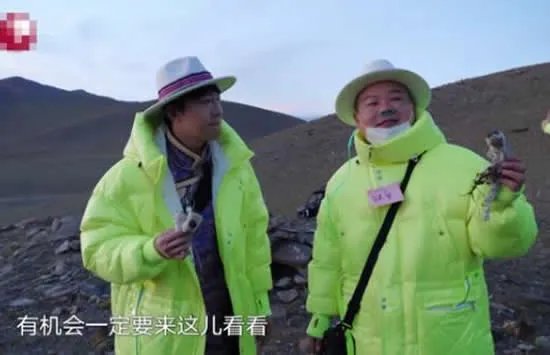 极限挑战嘉宾摘国家二级保护植物 刘宇宁发文回应此事真相来了