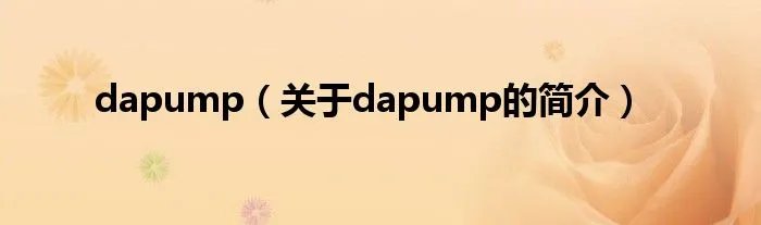 dapump（关于dapump的简介）