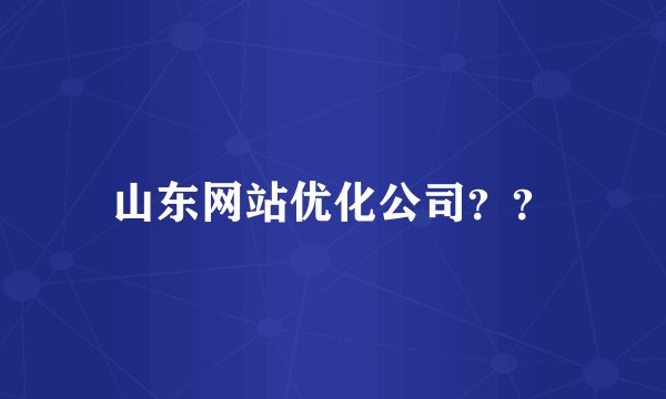 山东网站优化公司？？