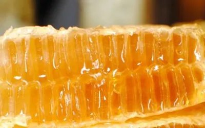 哪个牌子蜂蜜是正宗的?求推荐