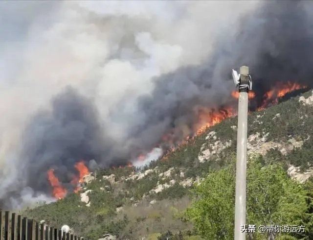 西海岸大火怎么着起来的?