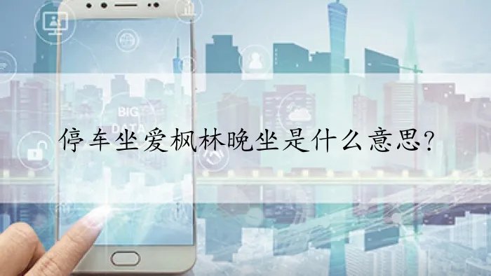 停车坐爱枫林晚坐是什么意思？