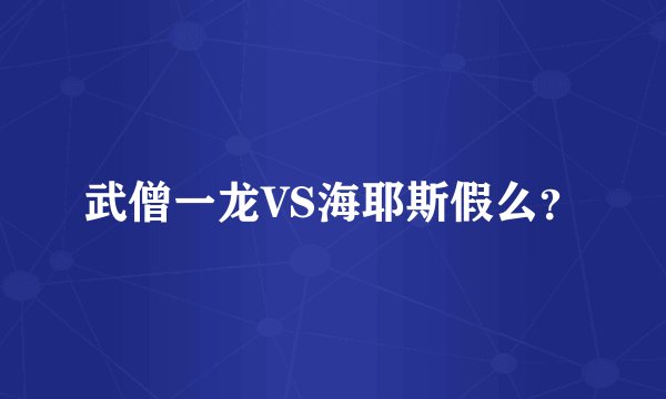 武僧一龙VS海耶斯假么？