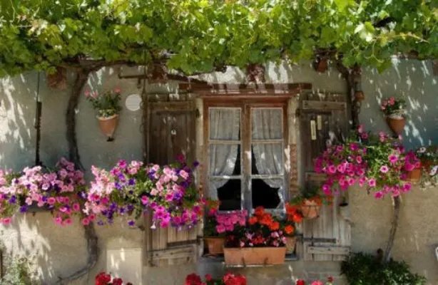 汐姎桦溟小说 汐姎桦溟免费阅读