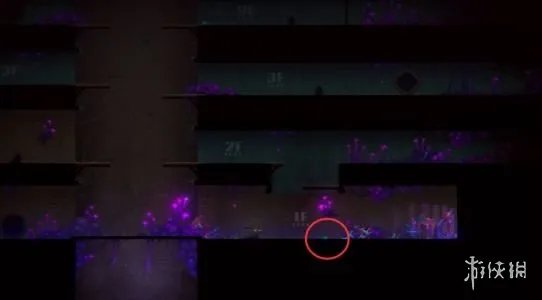 《迷雾侦探》图文攻略 全主线支线攻略