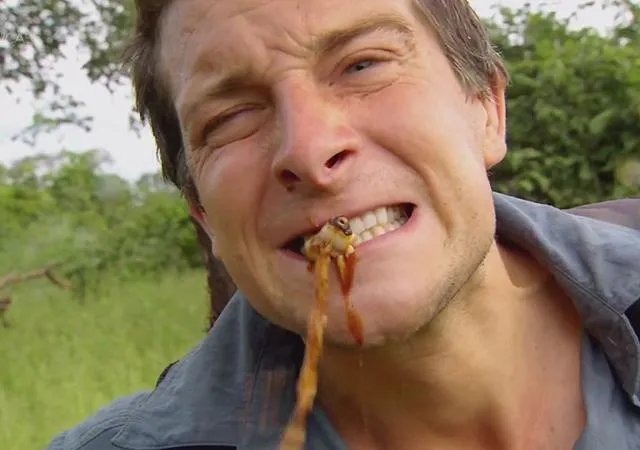 贝爷为什么来中国拍节目