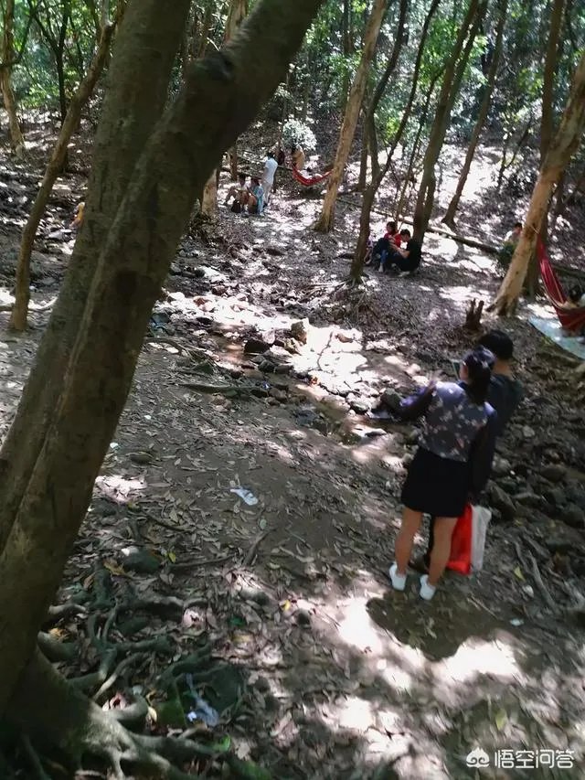 深圳凤凰山好玩吗？