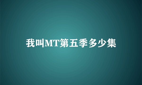 我叫MT第五季多少集