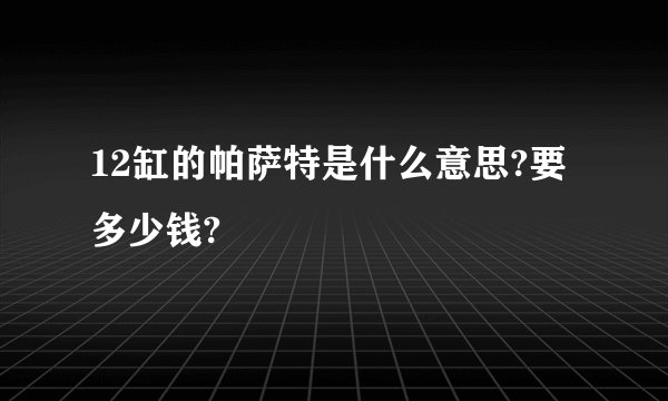 12缸的帕萨特是什么意思?要多少钱?