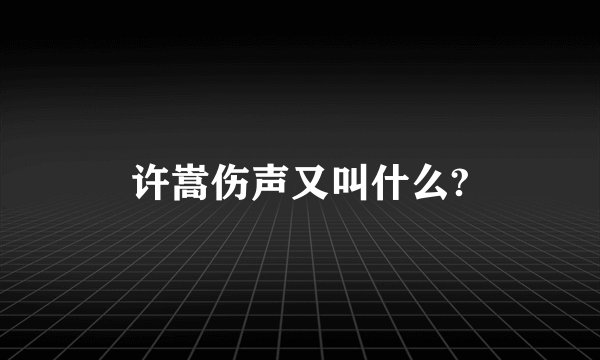 许嵩伤声又叫什么?